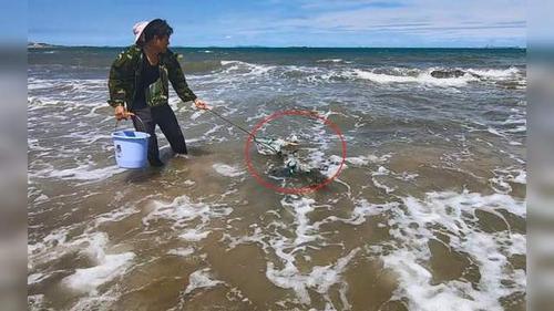 海边飘来一张流浪网,被赶海的阿阳发现,上面竟然挂着几只值钱货