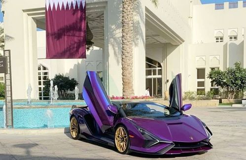 性能堪比f1赛车 外观很科幻 全新兰博基尼sián实车