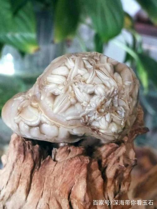 筯脉石的画面,在时光中的痴缠,或许有一天都会随风