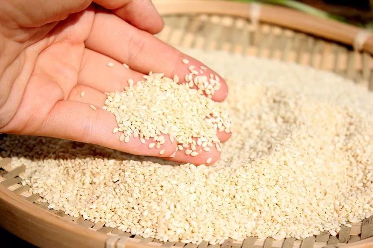 再放入大量上好的白芝麻提香,淋到石舂辣椒面上.