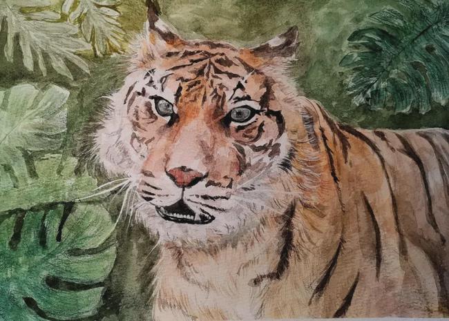 高一|附中|素描|绘画|美术班_网易订阅