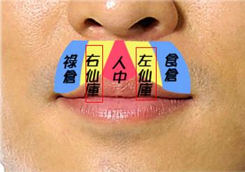 它位于兰台(兰台是什么)之下,人中(人中看相)两侧,左边仙库看52岁部位