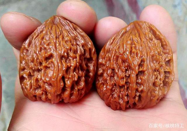 100种文玩核桃品种分享之53:南疆石狮子头