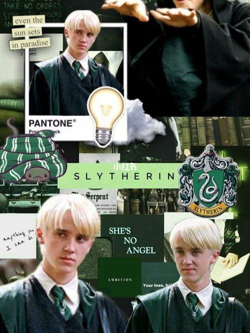 分享一波少爷壁纸～马尔福_壁纸_pantone_茜子怎么样