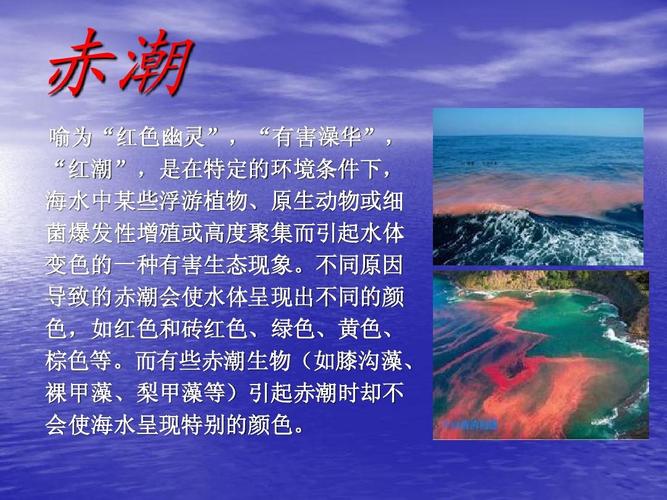> 赤潮