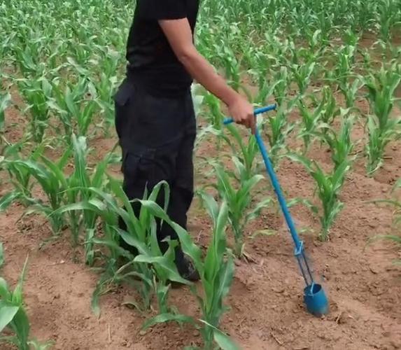 农村帅哥发明的移苗神器,一天能移一大片,这神器帅爆了!