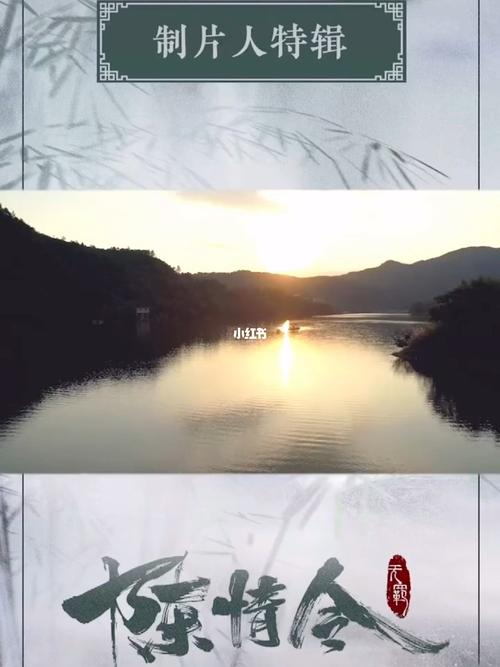 陈情令制片人杨夏_陈情令_小说_艺术_清华大学_故事_影视_影视资讯