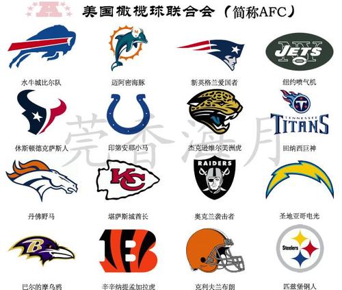 美国国家橄榄球联盟之美国橄榄球联合会16支球队队标场馆地标 8回复