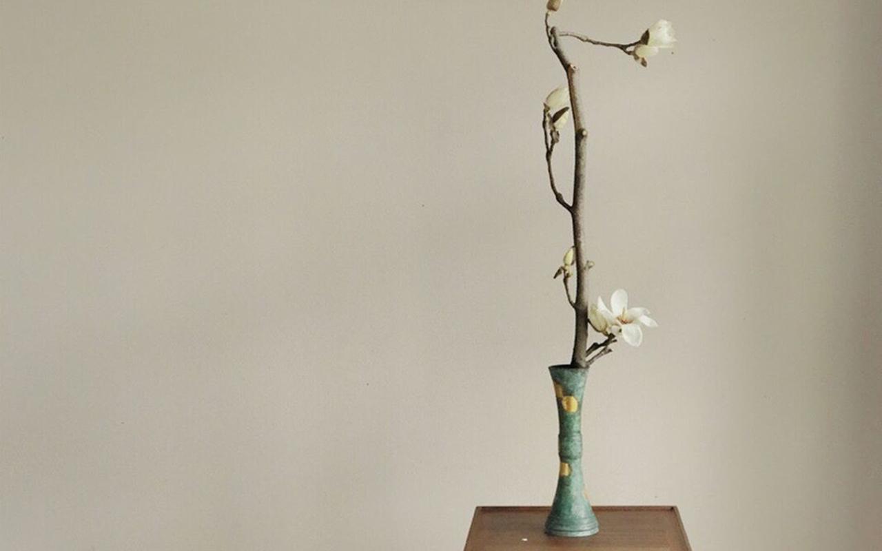 唯美复古文艺静物盆栽高清桌面壁纸