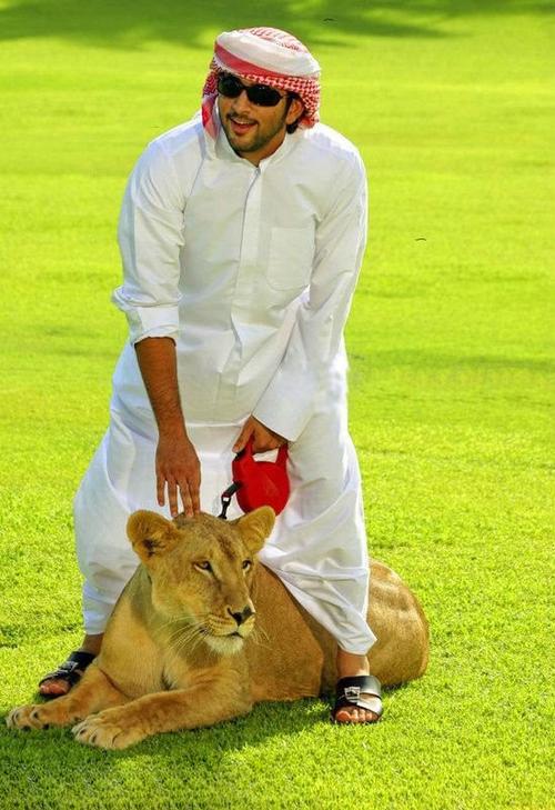 超级帅的迪拜王子,看完只想说两个字:想嫁!