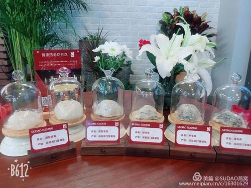 其它 健康防老吃苏岛 写美篇  苏岛燕窝秉承的"只做100%纯天然优质