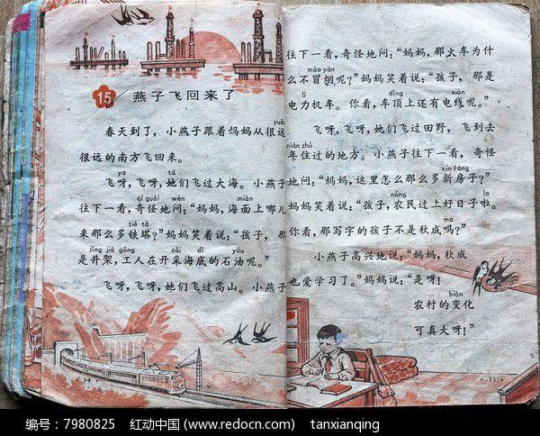 小学语文课文燕子飞回来了图片