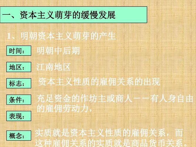 资本主义萌芽的缓慢发展学习教材ppt课件
