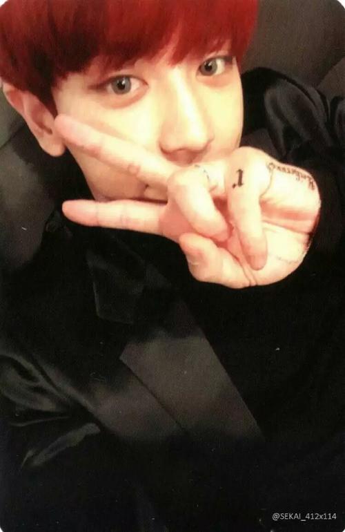 屿灿朴灿烈chanyeol专辑小卡