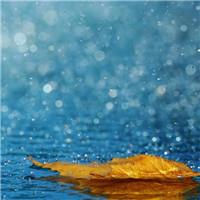 下雨天伤感风景头像