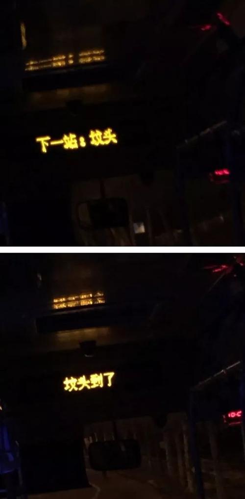 每日杂图道德沦丧强烈谴责