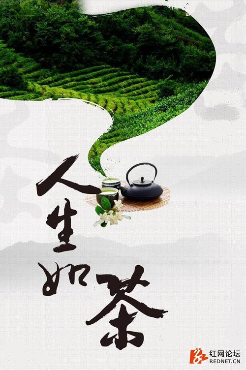 茶悟人生,人生如茶