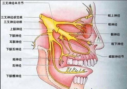 北京彭胜三叉医院:三叉神经治疗技术科普
