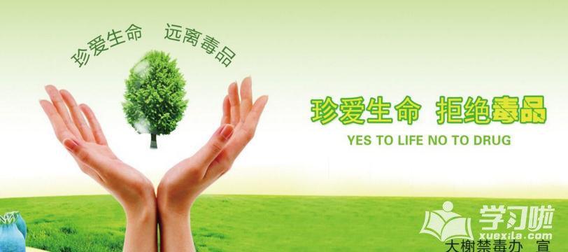 关于禁毒经典宣传海报模板