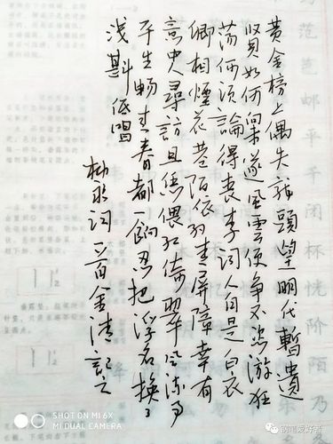 柳永《鹤冲天》每周一篇钢笔字练习笔友钢笔书法习作欣赏