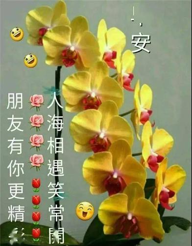 朋友圈经典早安暖心问候祝福短信,微信早晨好图片带字