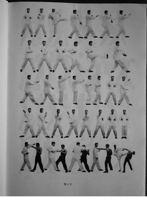 咏春拳教学,自学教程