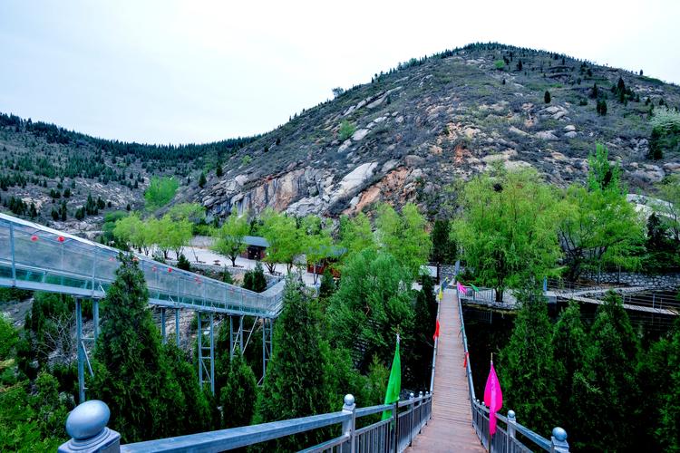 灵宝作协采风团娘娘山上展风采