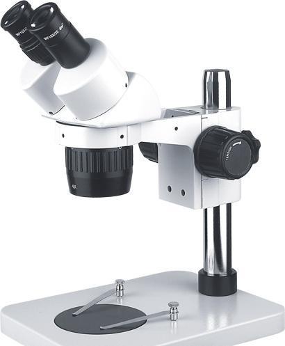 如何正确使用定档变倍体式显微镜