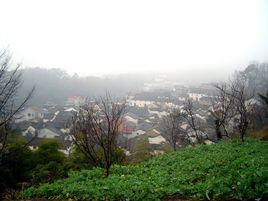 芦山村(贵州省惠水县芦山镇)