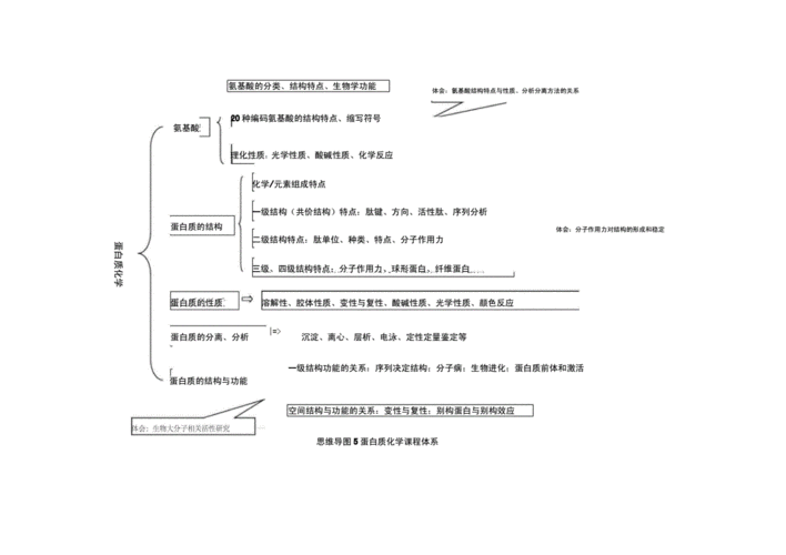 最新生物化学思维导图.docx 47页