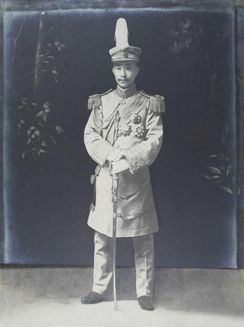 小凤仙晚年患上痴呆症,死前紧攥蔡锷的照片,蔡锷儿子:自作多情
