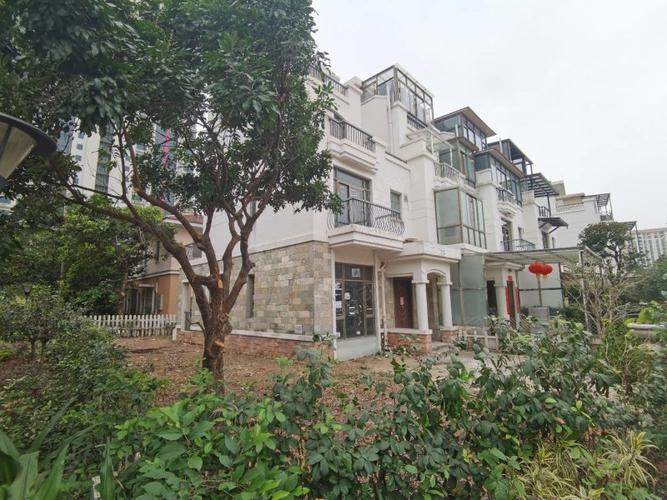 别墅碧桂园泛翠庭建筑200方单边花园175方