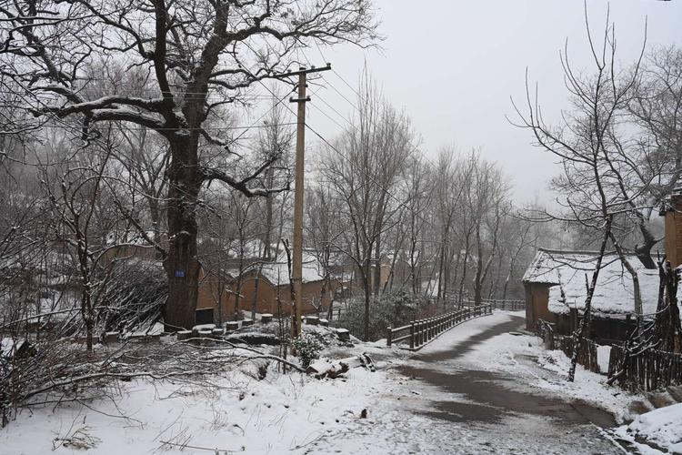 乡村雪景