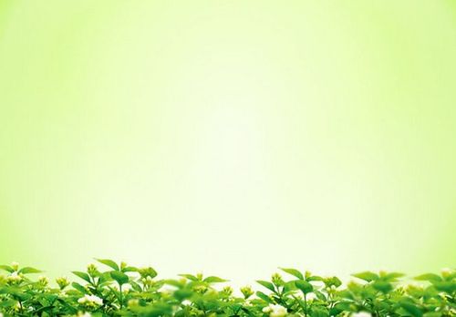 淡雅绿色叶子ppt背景_背景ppt模板_三联