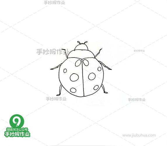 甲壳虫简笔画