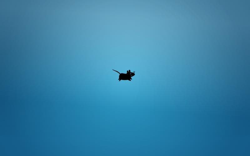 kali linux 壁纸收藏 - gklbb - 博客园