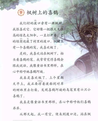 《枫树上的喜鹊》第一课时学习指导