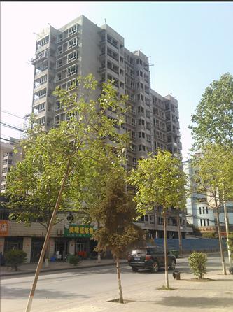 杨凌这样栋房子你见过吗?