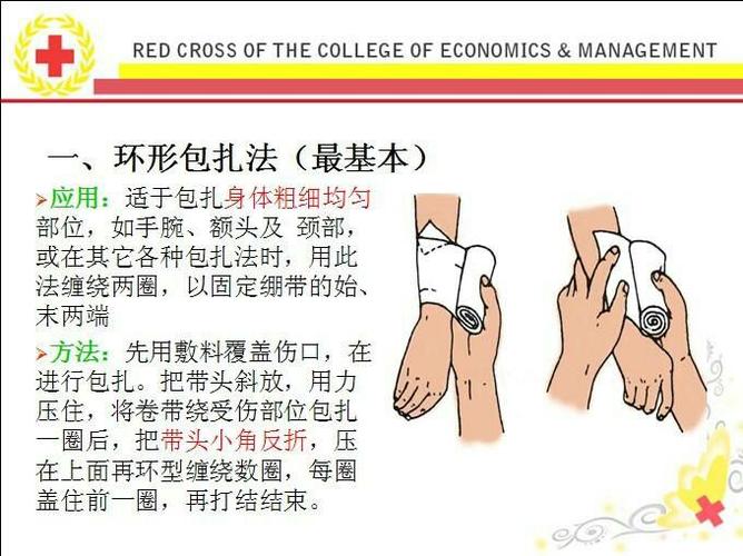户外基本环形包扎