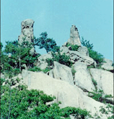 丰台鹰山森林公园 -     景点评价 鹰山森林公园是北京市野生动物放生