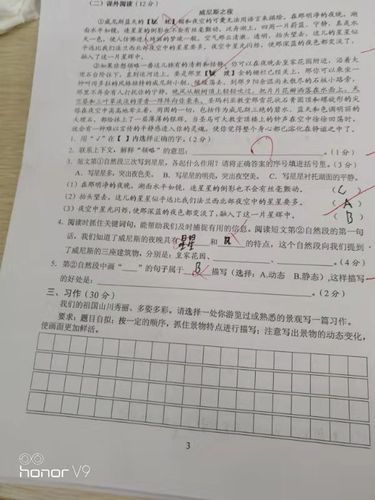 2019—2020第一学期五年级语文上册期末考试试卷分析——作文部分