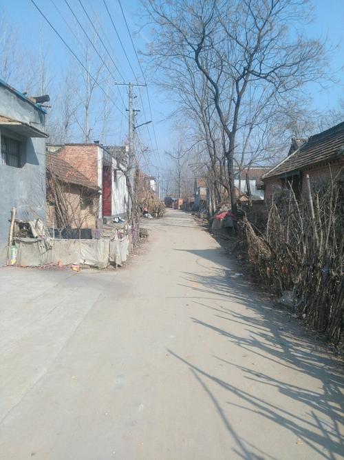 河南省周口市项城市331省道靠近大王楼超市天气预报