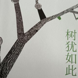 树犹如此 - 白先勇