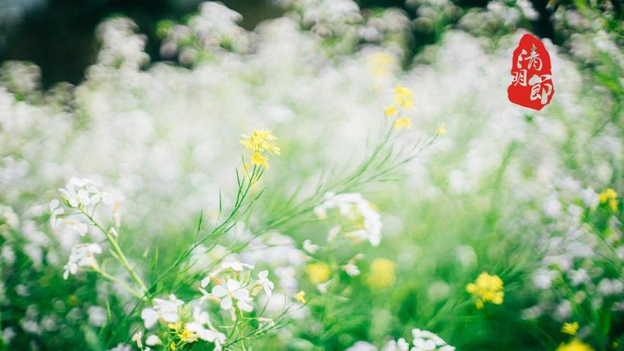 清明节风景图片清明发朋友圈的图片6