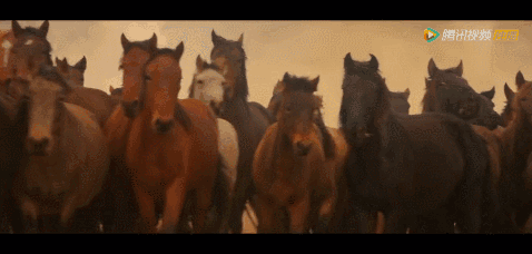 因为一封信终于集齐的探险小分队,在这个万马奔腾的大草原又要开始新