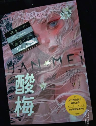 《酸梅》_酸梅_小说_人文_阅读