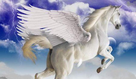 求飞马踏云高清壁纸!