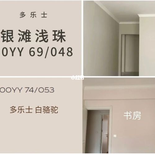 多乐士网红 白骆驼 浅滩银珠,已更新上墙照_多乐士怎么样_多乐士(南京