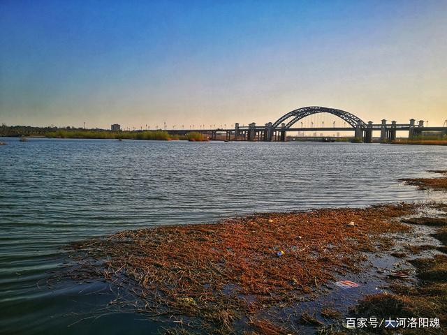 洛浦公园的景色有多美,带你走洛阳看春光