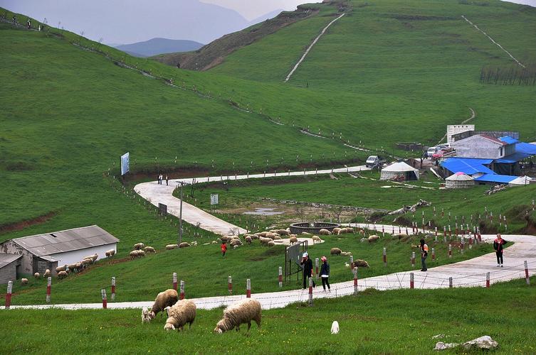 【黔东草海摄影图片】贵州省松桃县盘石镇纪实摄影_摄